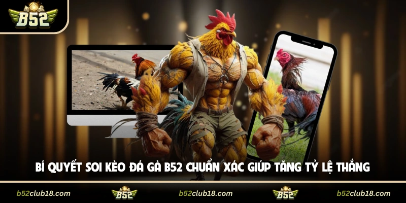 Bí quyết soi kèo đá gà B52 chuẩn xác giúp tăng tỷ lệ thắng