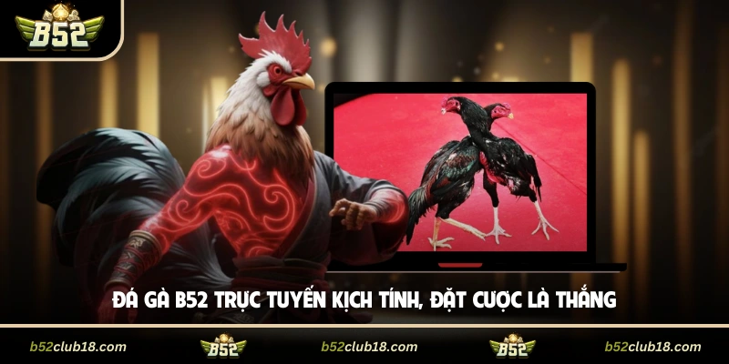 Đá Gà B52 Trực Tuyến Kịch Tính, Đặt Cược Là Thắng