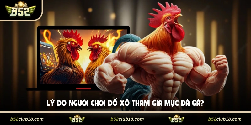 Lý do người chơi đổ xô tham gia mục đá gà?
